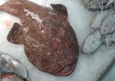 20140704_115637 (640x384)