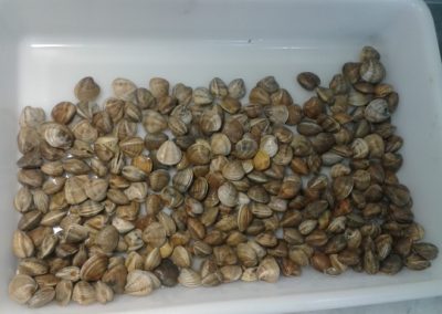20140704_115658 (640x384)