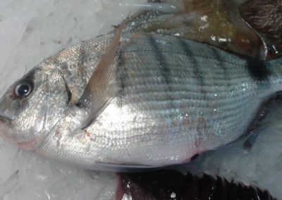 20140704_115707 (640x384)