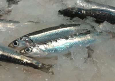 20140704_115729 (640x384)