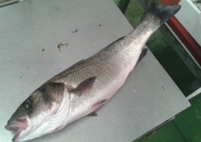 20140704_115819 (640x384)