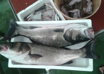 20140704_115829 (640x384)