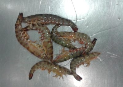20140704_120154 (640x384)