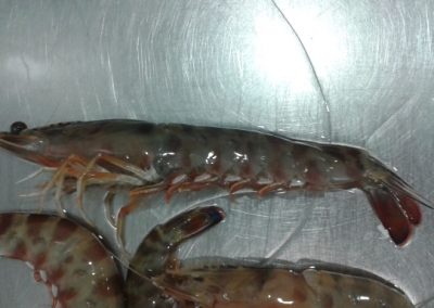 20140704_120221 (640x384)