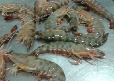 20140704_120235 (640x384)