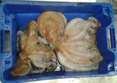 20140704_120322 (640x384)