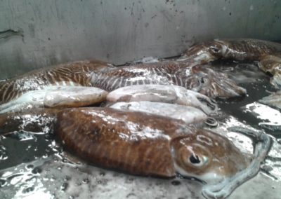 20140704_120336 (640x384)