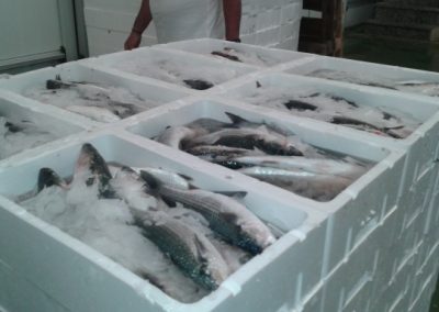 20140704_120537 (640x384)